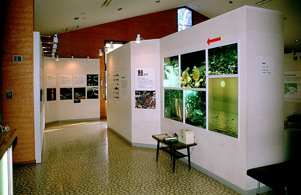 展示ホール入り口付近