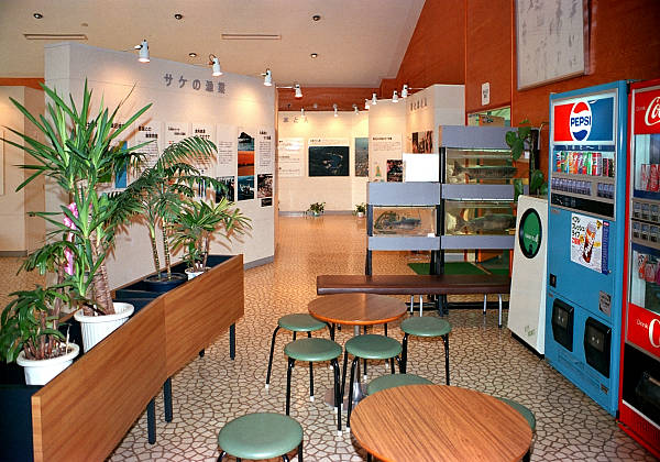 本館展示ホール (4) 休憩コーナー