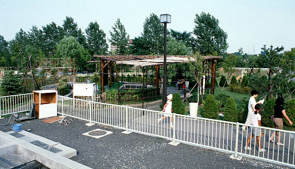 屋外かんさつ池 (1)