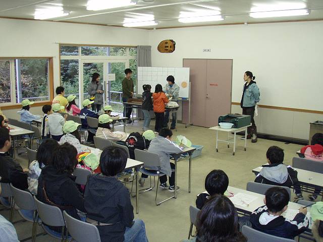 採卵実習