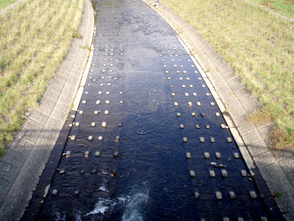 sh03.jpg