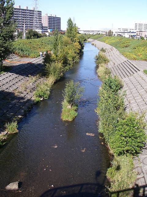 農試公園橋から下流を望む