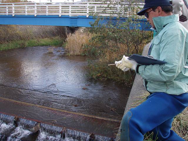 産卵した場所をチェックする職員