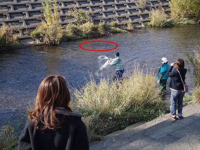 一瞬で決断！迷いなし！