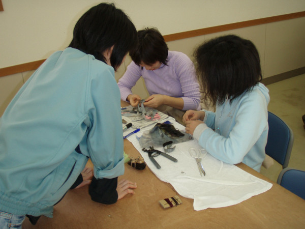 a02.jpg
