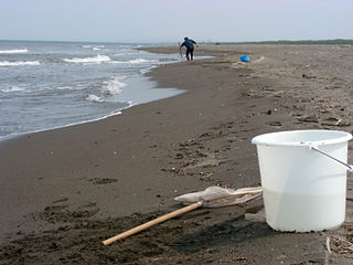 石狩浜でイサザ捕り