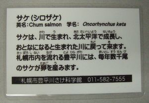 解説