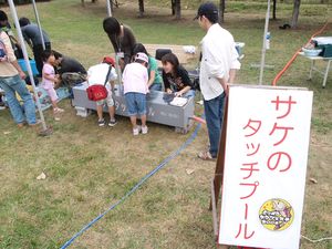 festa4.jpg
