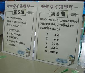 festa6.jpg