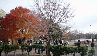 紅葉を背景に記念撮影