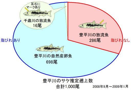 割合の図