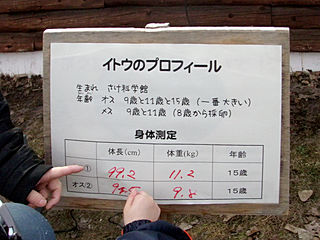 でっかいね