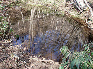 ２００７年