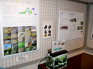 展示１