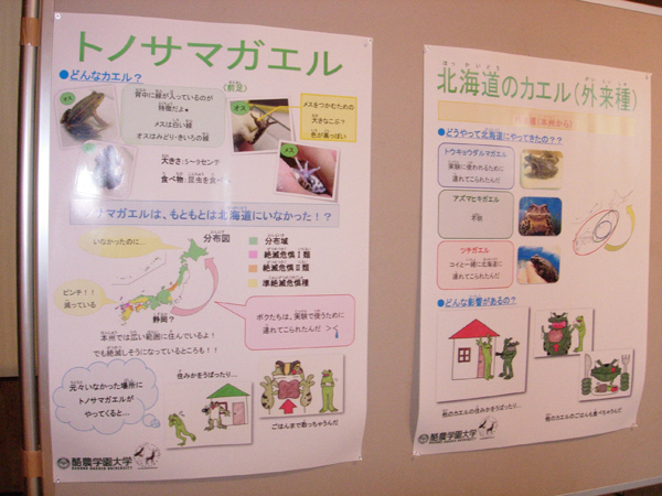 子供向けもあるよ