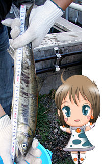 ちびリンカもびっくり！