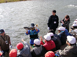 貴重な1尾 貴重な1尾