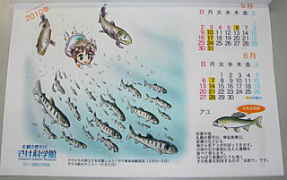 5～6月