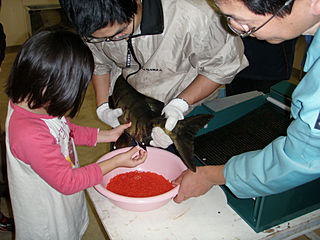 うまく絞れたかな？