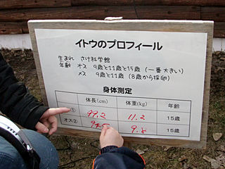 しんたいそくてい