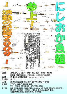 魚組展示チラシ