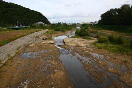 岩盤が出た豊平川