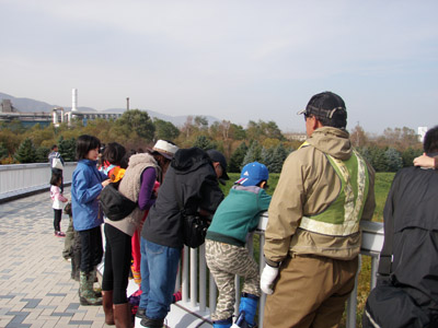 星流橋