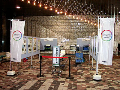 展示の様子 展示の様子