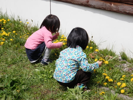 春ですね
