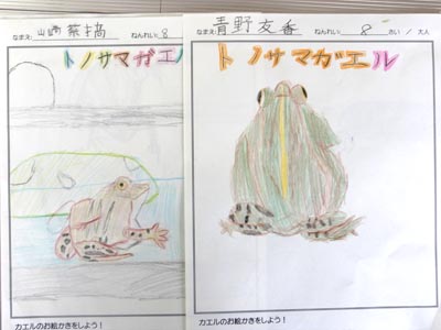 カエルの絵