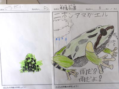 カエルの絵