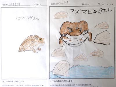 カエルの絵