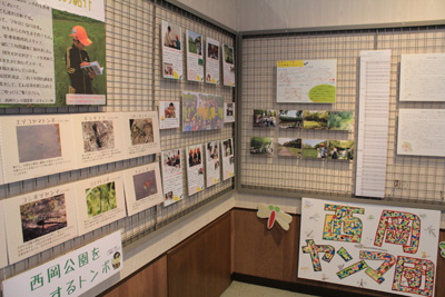 西岡公園自然調査報告展_01