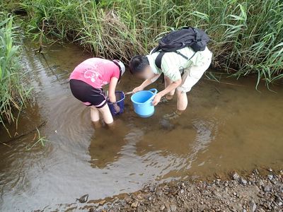 星置川さかなウォッチング2
