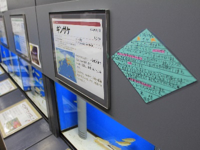 真駒内公園小展示_飼育展示室