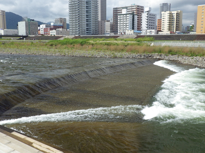 2014豊平川初捕獲02
