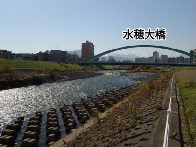 サケ観察ポイント