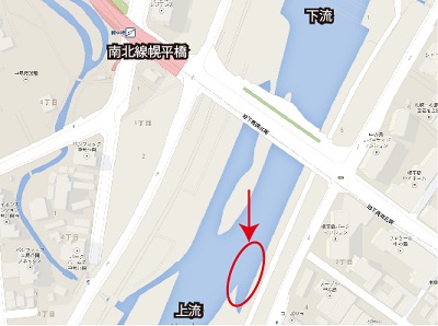 観察ポイント(幌平橋上流)