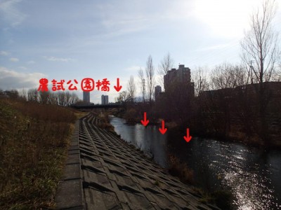phonto