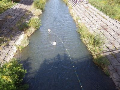 刺し網での捕獲風景①