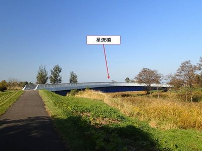 ho004