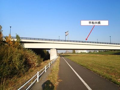 tm006