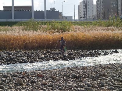 調査風景