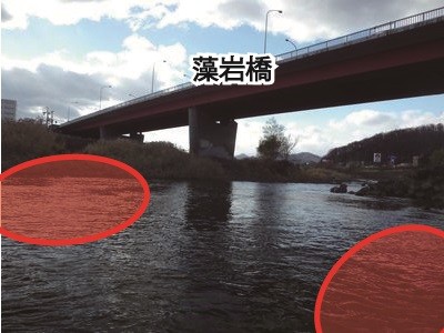 観察ポイント
