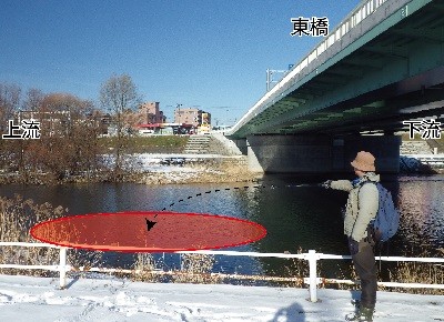 観察ポイント