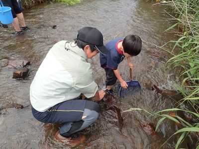網ガサガサ