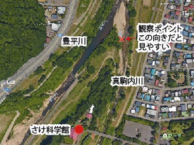 観察ポイント①
