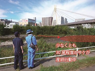 観察ポイント