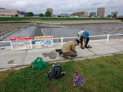 調査風景