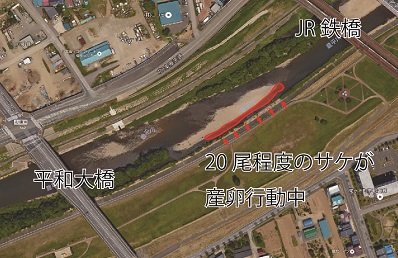 平和大橋下流観察ポイント